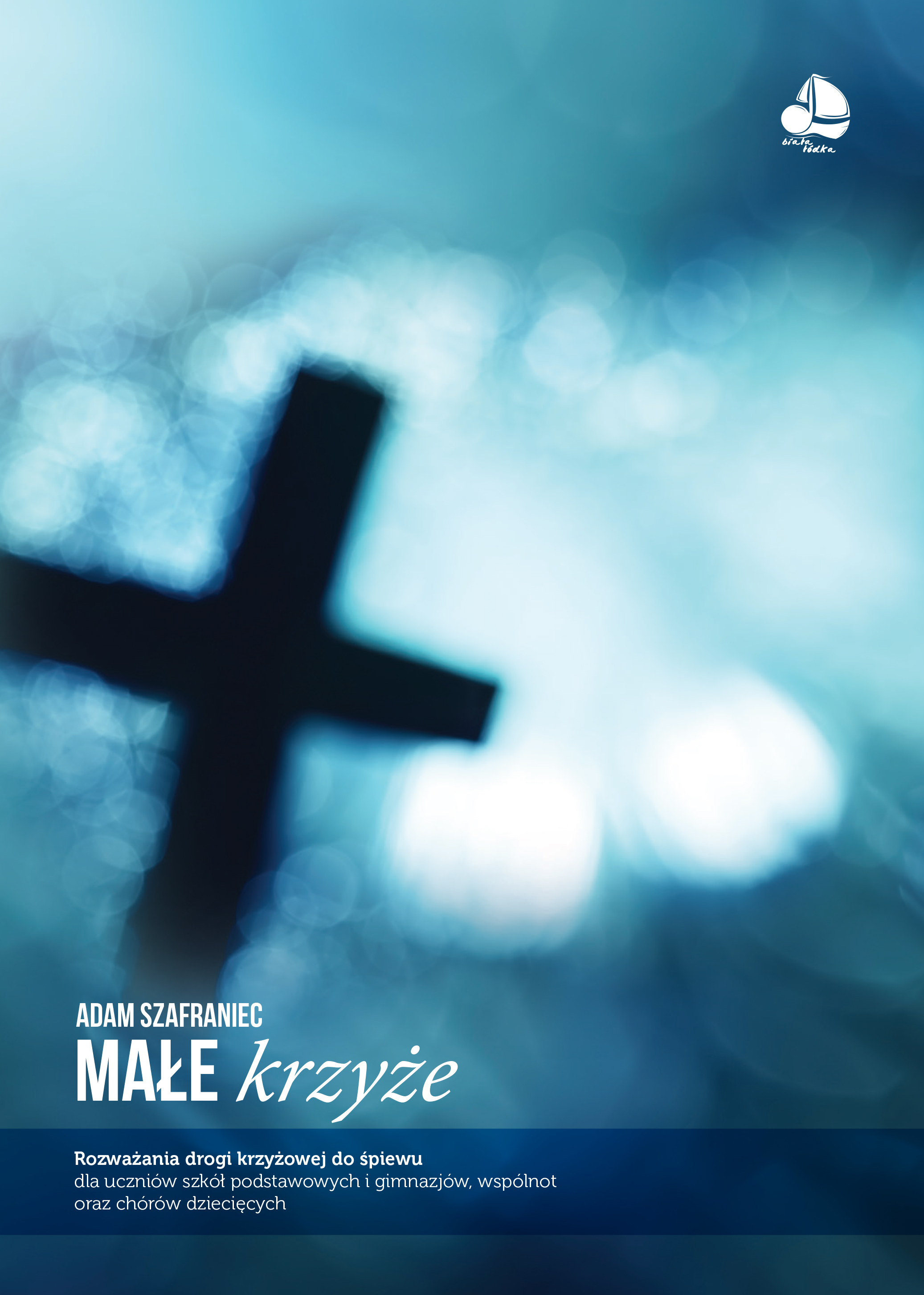 Male_krzyze_book_front